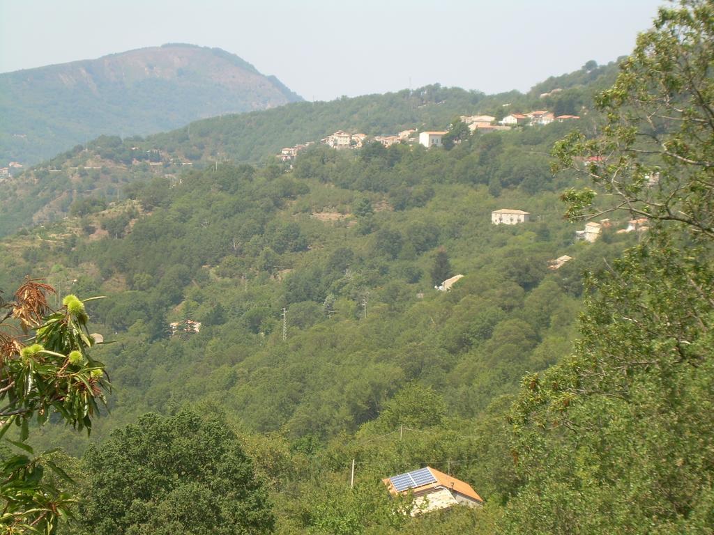Agriturismo Fontanapietra Tortorici Exterior foto
