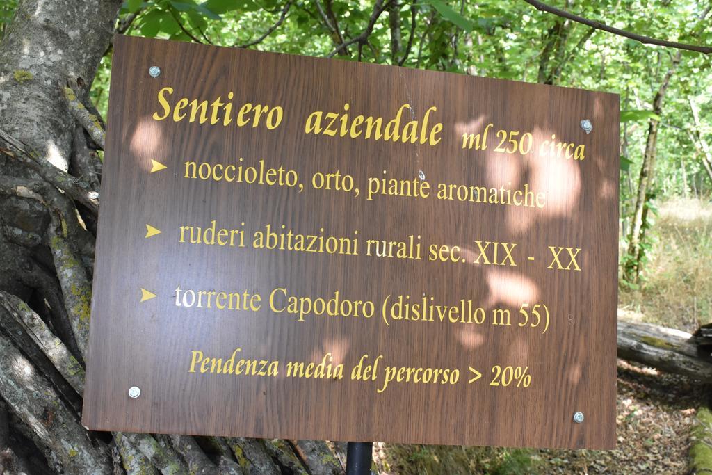 Agriturismo Fontanapietra Tortorici Exterior foto